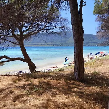 Terra Cielo * Αλγκέρο
